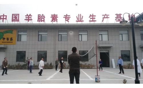 排球傳溫情，員工齊聚心