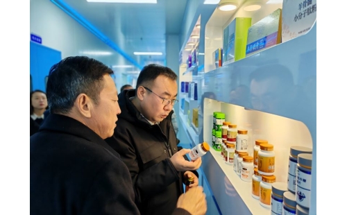 金鳳區常委、組織部長杜鈞，副區長、公安局長王占東一行蒞臨企業參觀調研