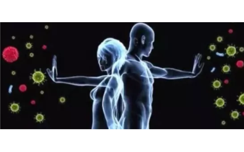 為什么補(bǔ)的是肽而不是氨基酸？